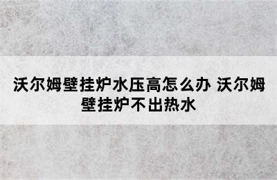 沃尔姆壁挂炉水压高怎么办 沃尔姆壁挂炉不出热水